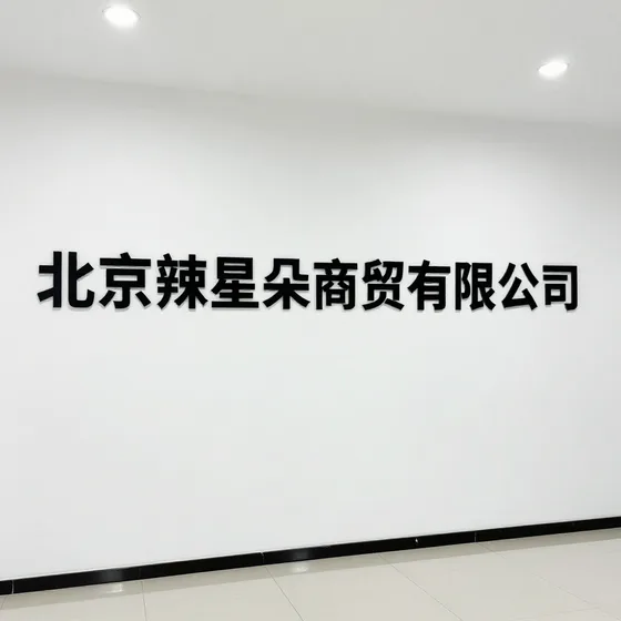 北京辣星朵商贸有限公司口碑好的有哪些